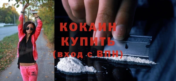 твердый Инта