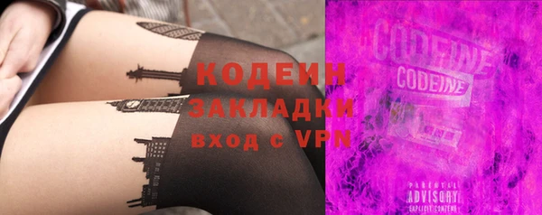твердый Инта