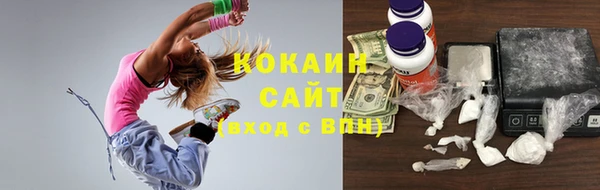 твердый Инта