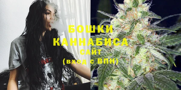 твердый Инта