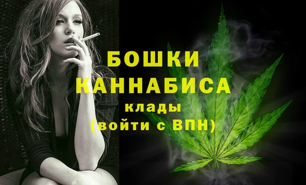mdpv Иннополис