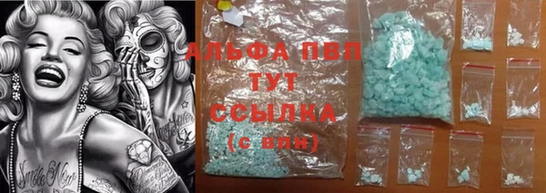твердый Инта