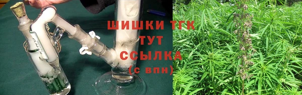 твердый Инта