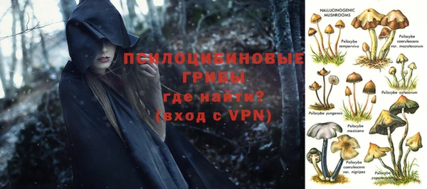 mdpv Иннополис