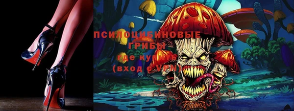 mdpv Иннополис