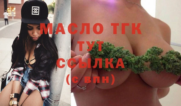 твердый Инта