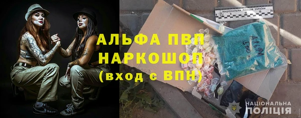 твердый Инта