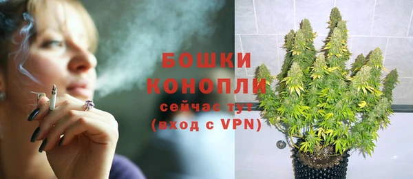 твердый Инта